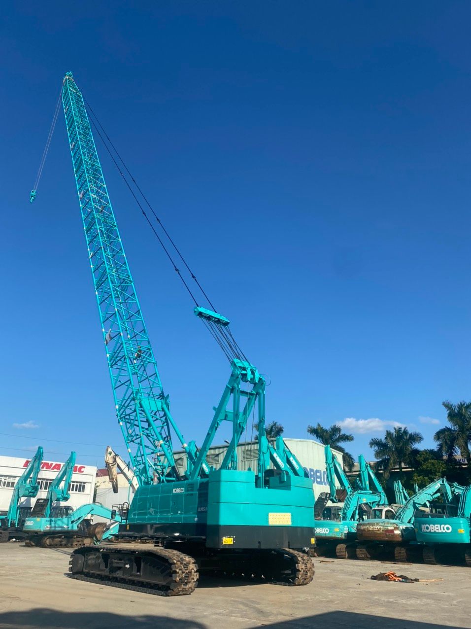 CẨU BÁNH XÍCH KOBELCO BMS800