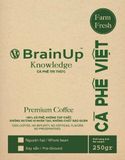  Brainup tri thức 