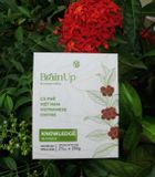 BrainUp Tri Thức (Hộp)