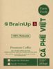 Brainup 1