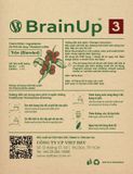  Brainup 3 