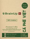  Brainup 5 