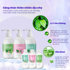 Sữa Tắm Gội Cho Bé Chiết Xuất Thảo Mộc Trầu Không 500ml BuB&MuM