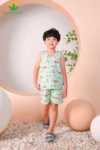 B62.2202.Bộ cotton dệt kim bé trai quần đùi áo sát nách