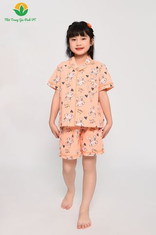 B63.2303. Bộ cotton bé gái mặc hè Việt Thắng quần đùi áo cộc tay Pijama