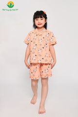 B63.2303. Bộ cotton bé gái mặc hè Việt Thắng quần đùi áo cộc tay Pijama