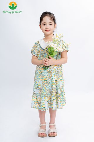 V63.2405.Váy cotton bé gái cộc tay cổ sen phối