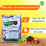  Combo phân hữu cơ khoáng Thử nghiệm 