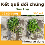  Phân bón khoáng Silic Đông Sơn - tăng cường khả năng chịu đựng khô hạn 