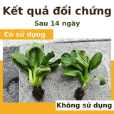  Phân bón khoáng Silic Đông Sơn - tăng cường khả năng chịu đựng khô hạn 