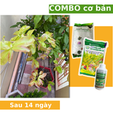  Combo phân hữu cơ khoáng Phổ biến 