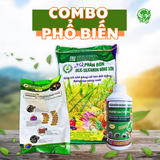  Combo phân hữu cơ khoáng Phổ biến 