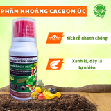  Combo phân hữu cơ khoáng cho Rau sạch trồng chậu 