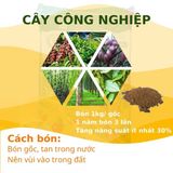  Phân bón khoáng Silic Đông Sơn - tăng cường khả năng chịu đựng khô hạn 