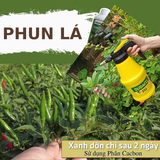  Combo phân hữu cơ khoáng Phổ biến 