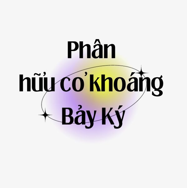  Phân hữu cơ khoáng Bảy Ký 