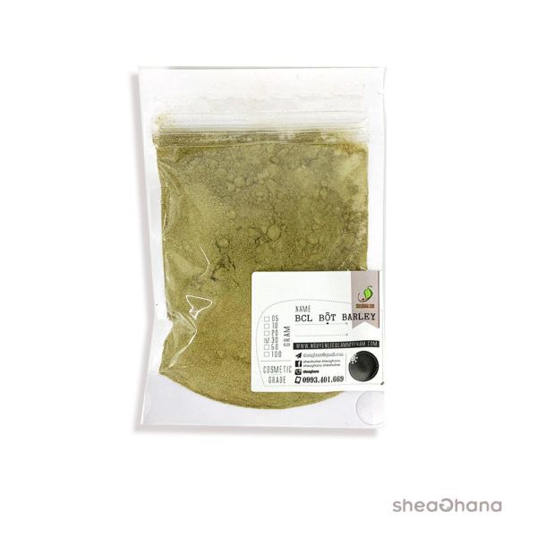 Bột cỏ barley (Barley gass powder)
