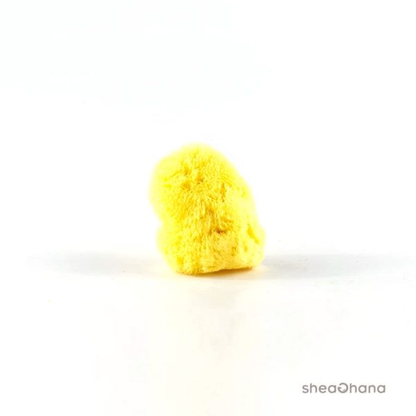 Natural sea spongs bleach fine size 2,5-3 inches (Bọt biển size M)
