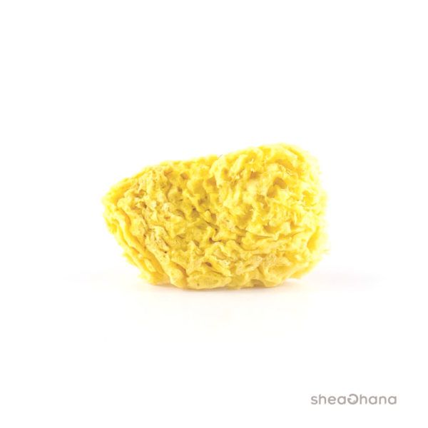 Natural sea spongs bleach fine size 5-5,5 inches (Bọt biển size L)