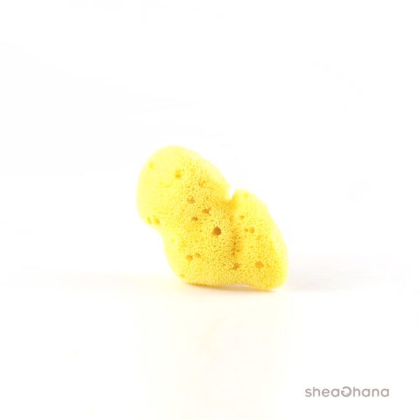 Natural sea spongs bleach fine size 1,5-2 inches (Bọt biển size S)