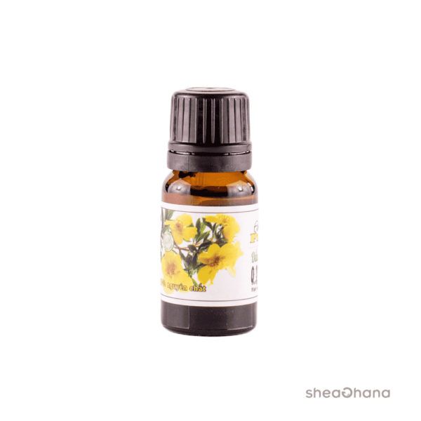  Dầu hoa anh thảo ORGANIC (Evening primerose oil) – 10ml 