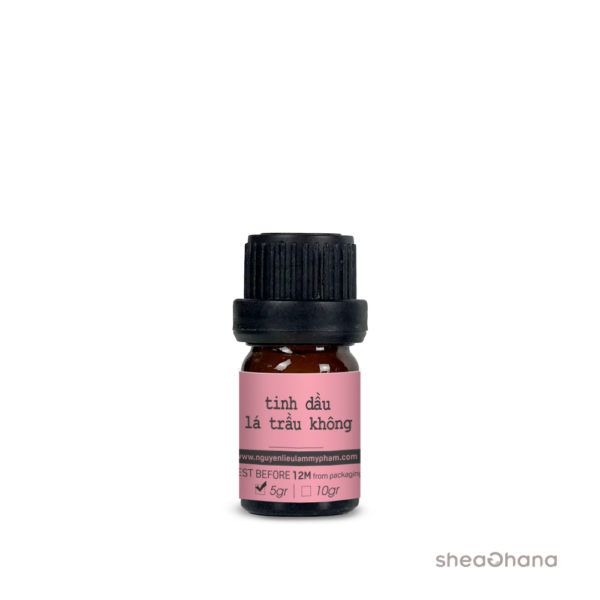 Tinh dầu lá trầu không (Belet leaf essential oil)