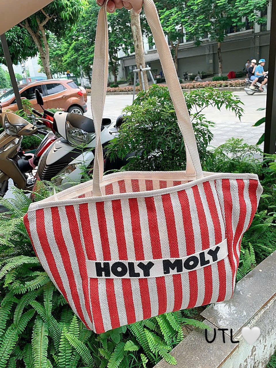 Túi tote kẻ sọc đỏ chữ HOLY MOLY - T84