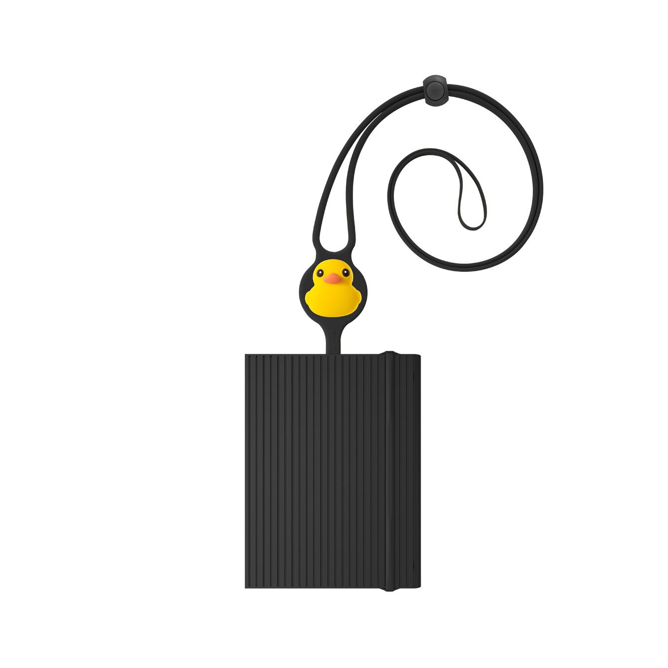 Passport Lanyard