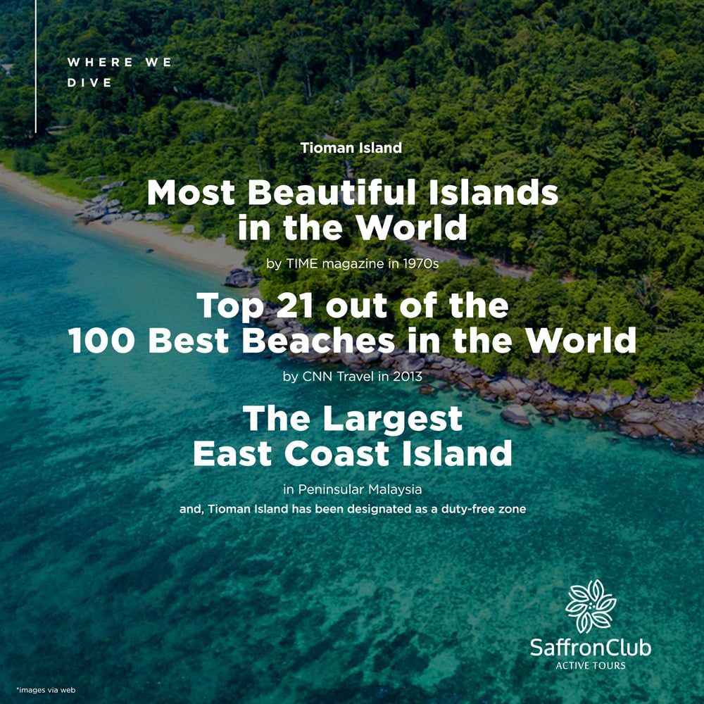 Private Jet Tour Fly to Dive Tour Package Malaysia (FTDJB1)