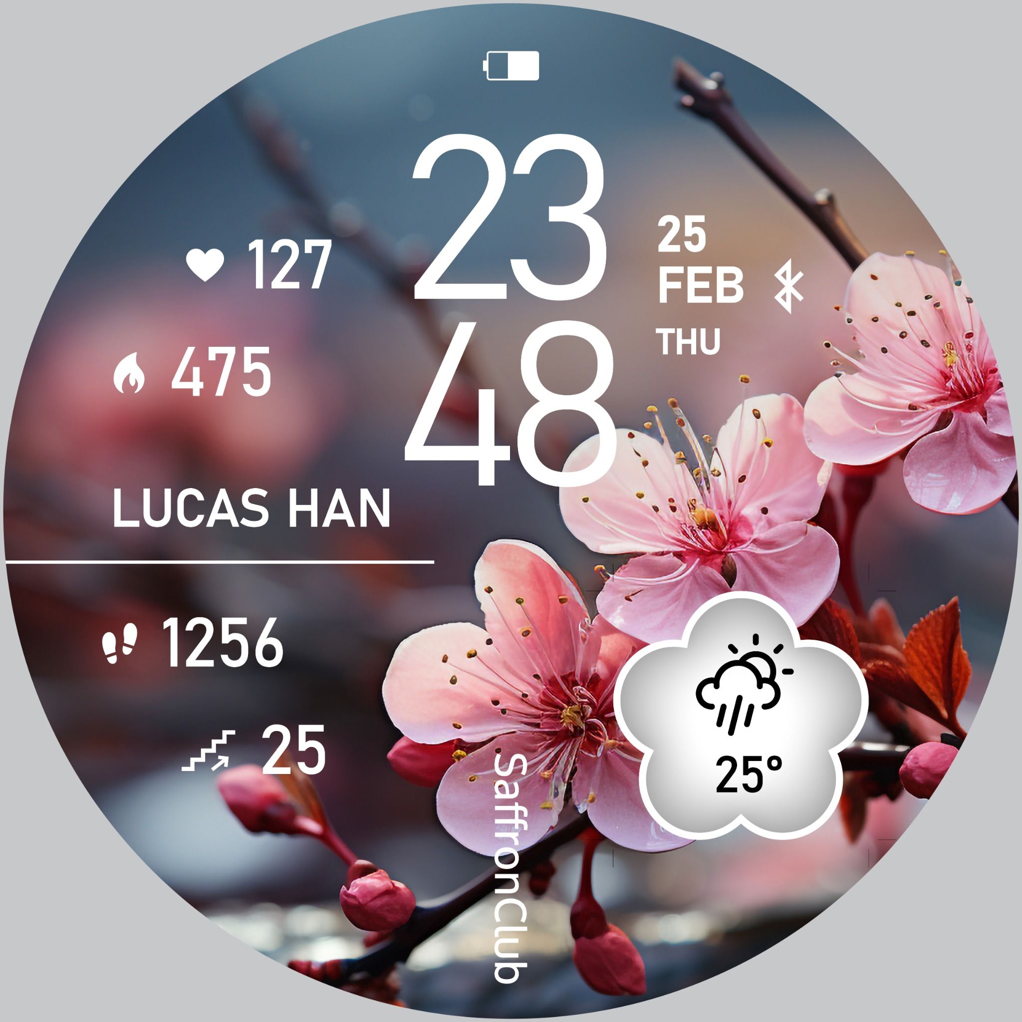 Mặt đồng hồ - Spring