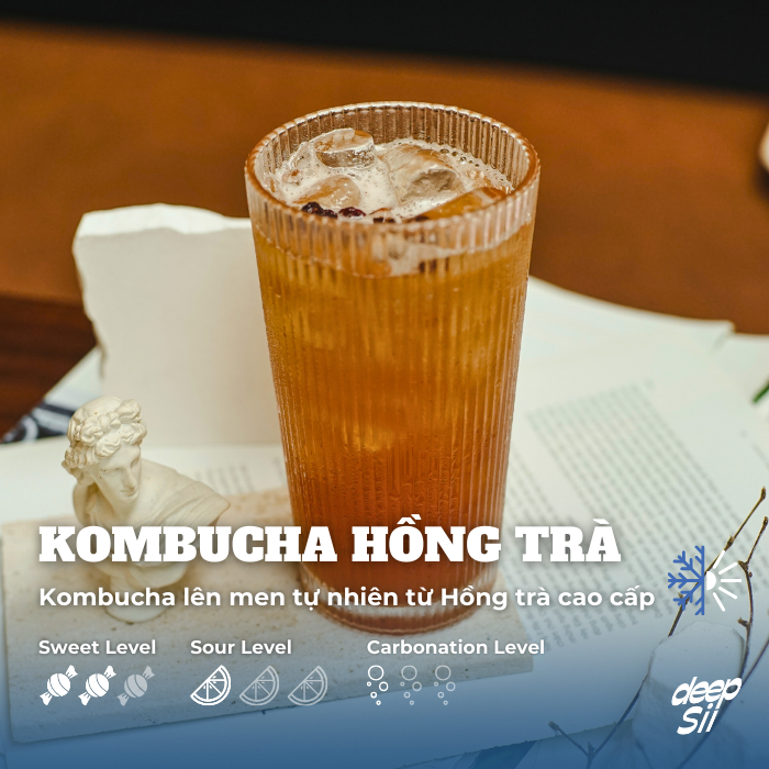 KOMBUCHA HỒNG TRÀ