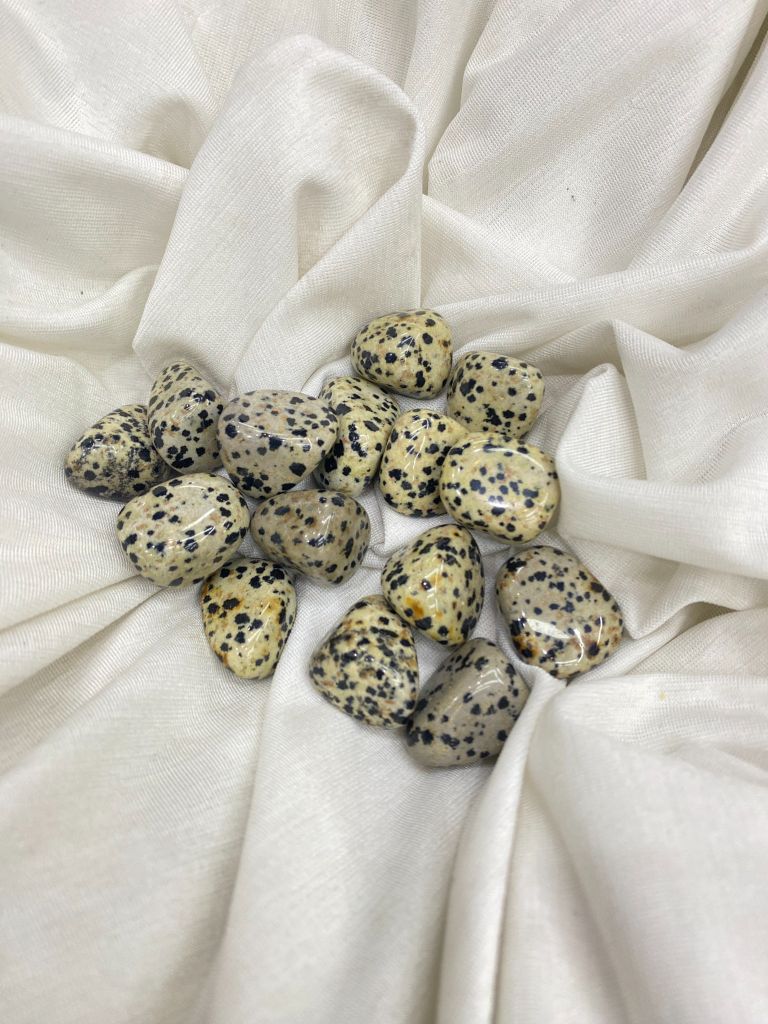 Sỏi Jasper Chó Đốm - Dalmatian Pure Joy Jasper Tumble