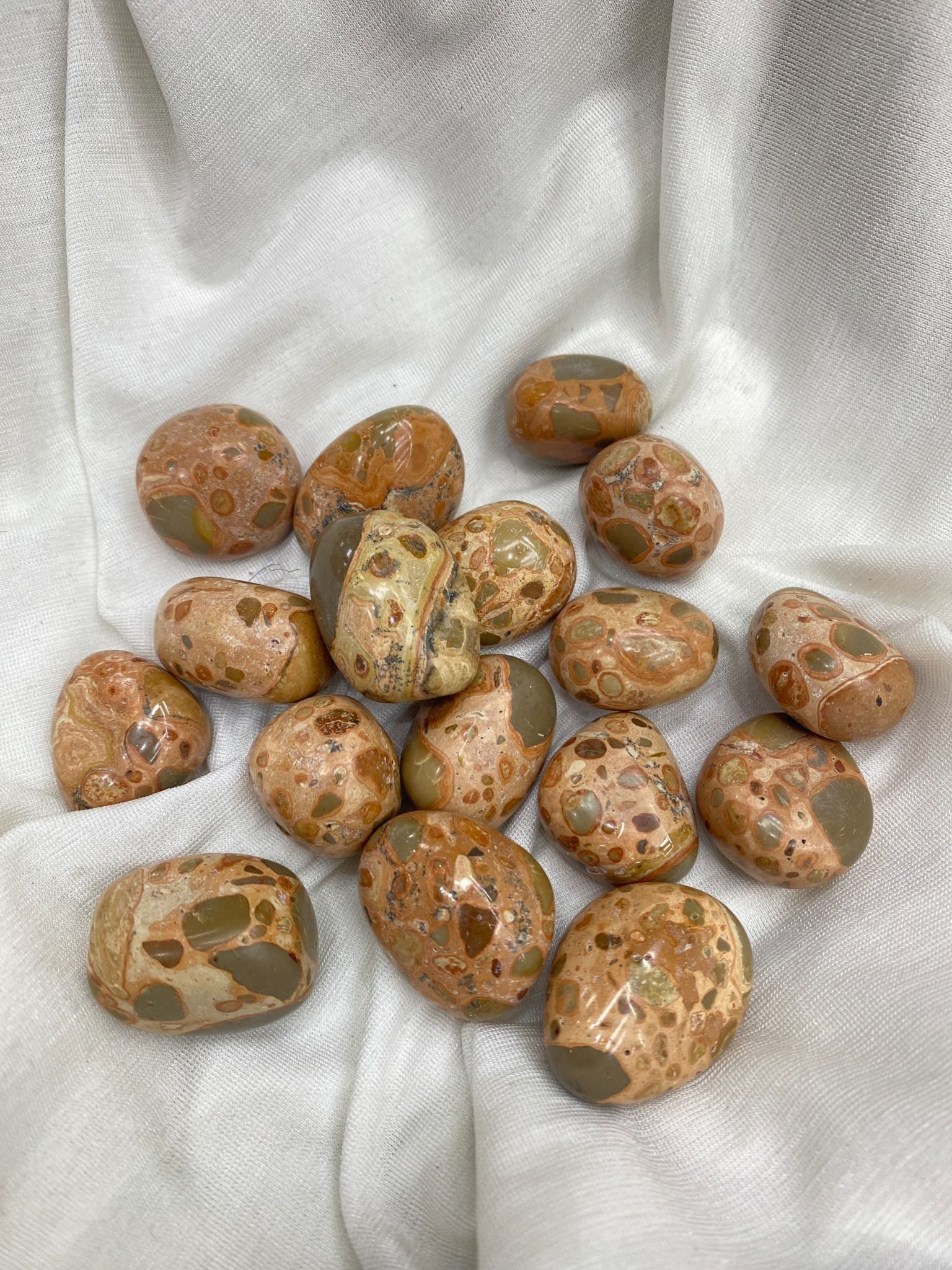 Sỏi Jasper Báo Hoa - Leopard Skin Jasper Tumble
