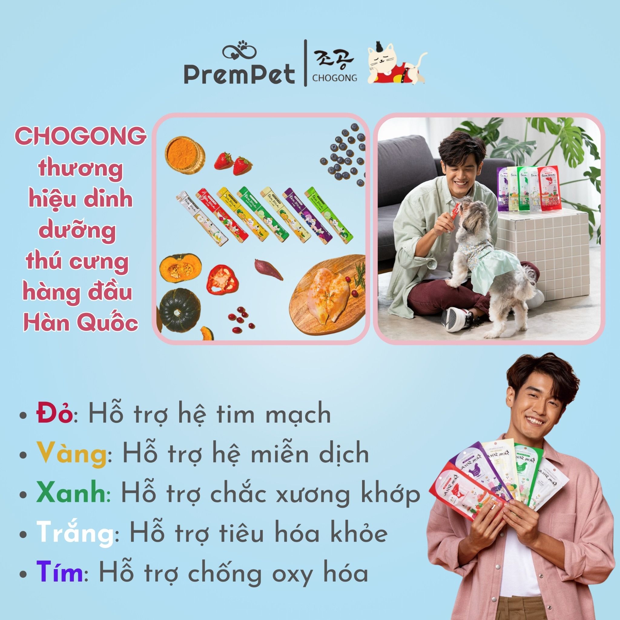 Spring Box 5in1 - Súp Thưởng - Chogong 5km Stick - Hỗ Trợ Sức Khoẻ Toàn Diện - cho Mèo - Hộp 5 thanh, 5 màu 5 vị, 14g/thanh