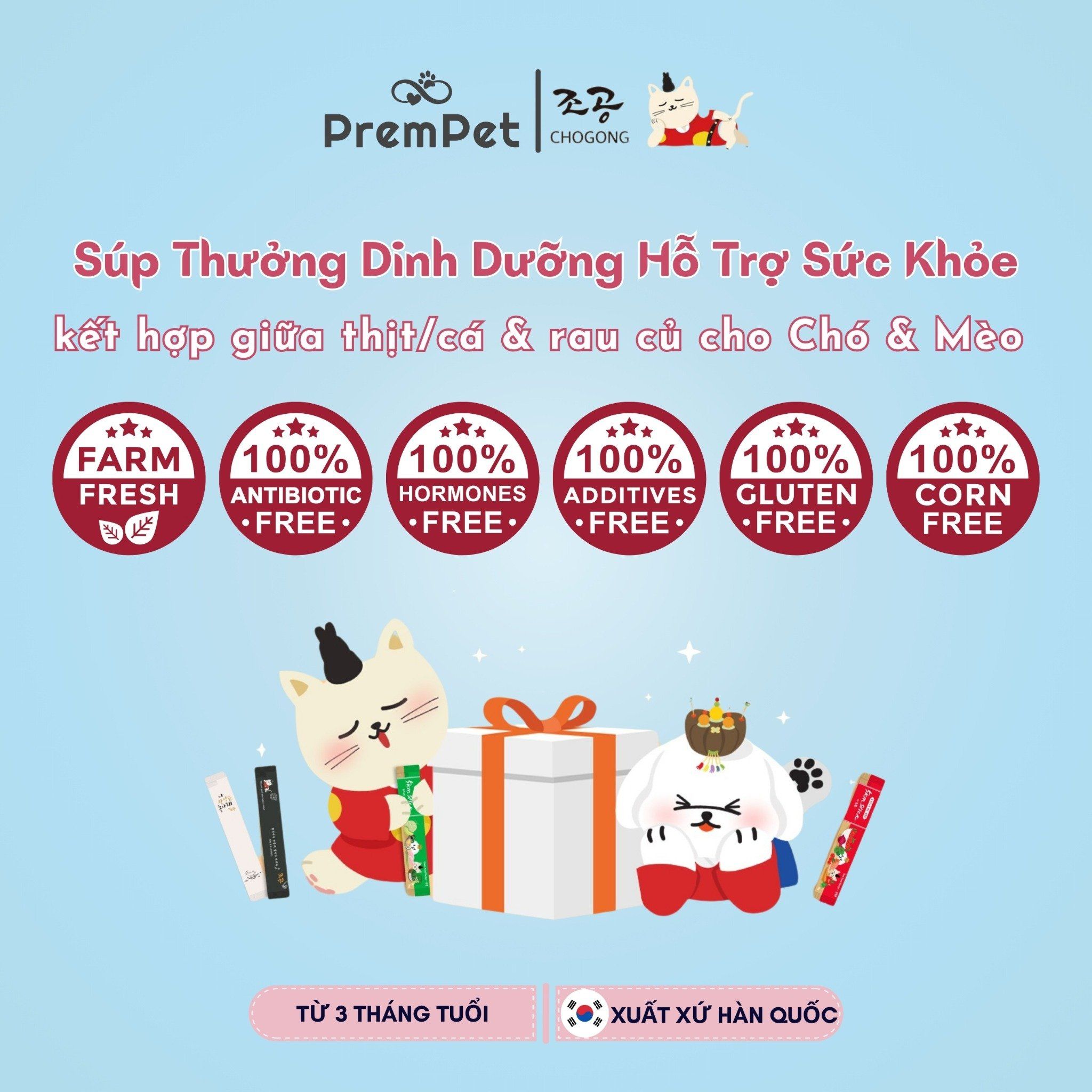 Spring Box 5in1 - Súp Thưởng - Chogong 5km Stick - Hỗ Trợ Sức Khoẻ Toàn Diện - cho Mèo - Hộp 5 thanh, 5 màu 5 vị, 14g/thanh