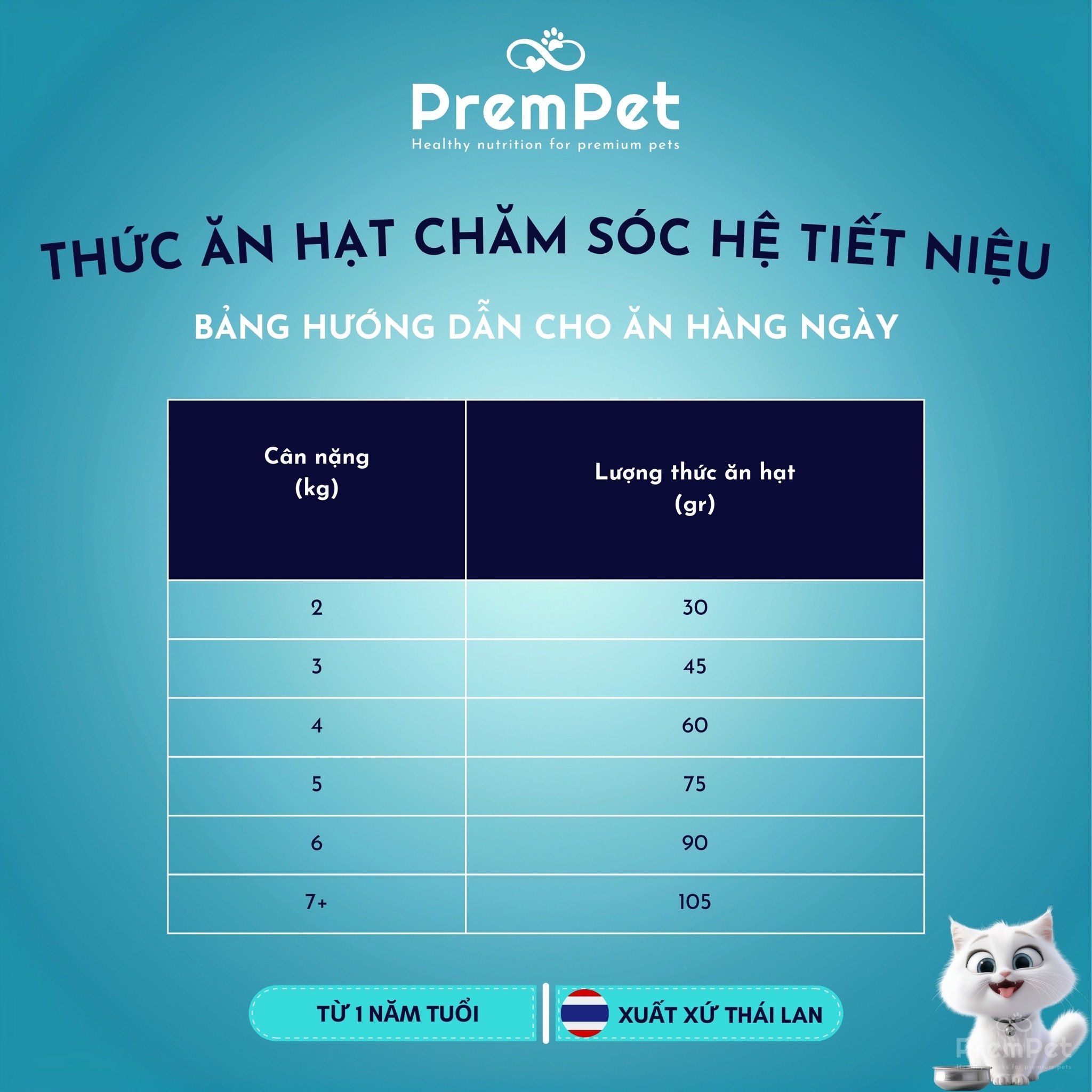 Thức Ăn Hạt - Purina One - Chăm Sóc Hệ Tiết Niệu - Vị Gà - cho Mèo Trưởng Thành - Túi 380g