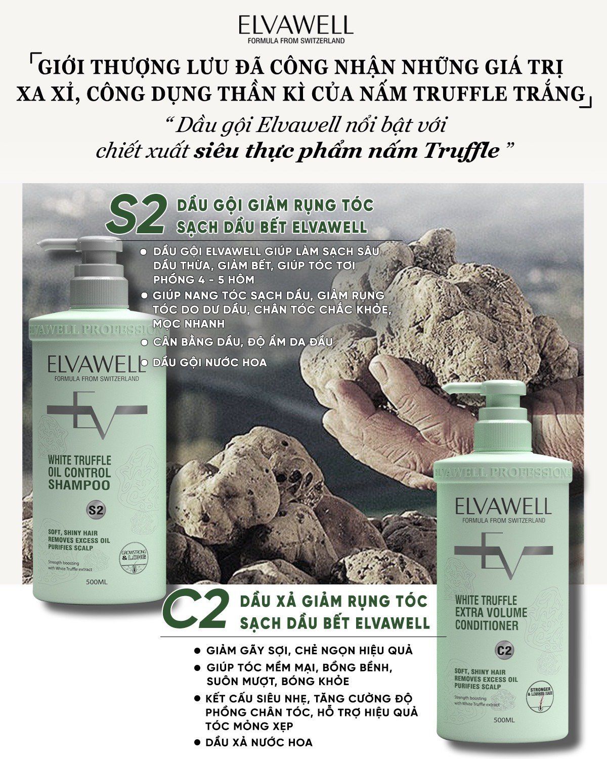 Dầu gội giảm rụng tóc sạch dầu bết Elvawell 500ml