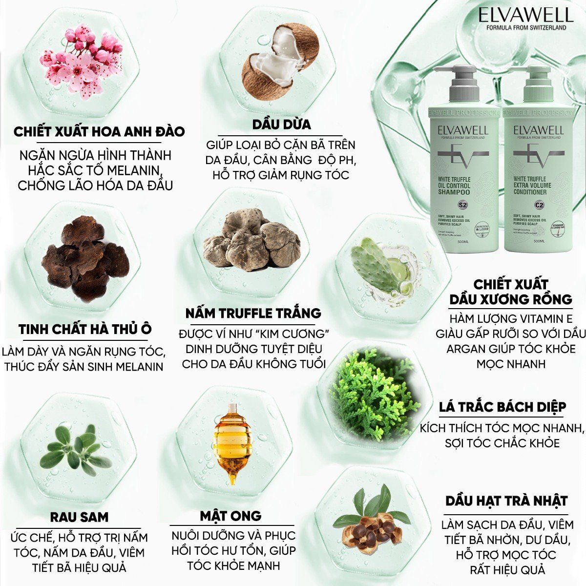Dầu gội giảm rụng tóc sạch dầu bết Elvawell 500ml