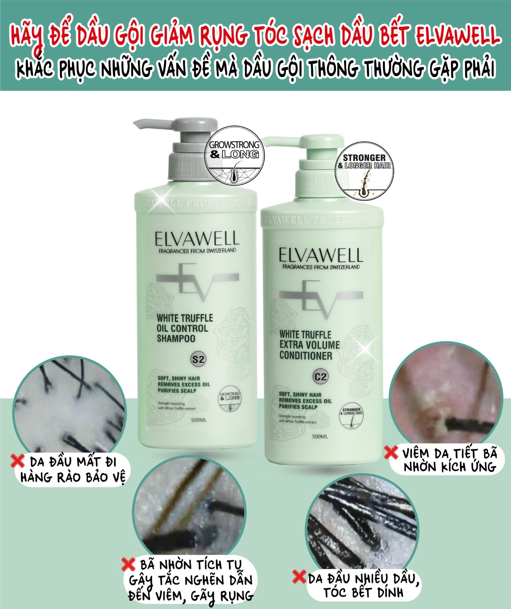 Dầu gội giảm rụng tóc sạch dầu bết Elvawell 1000ml
