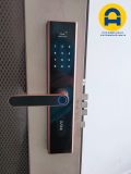  KHÓA CỬA VÂN TAY ILOK JD319 