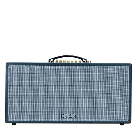 Loa Acnos CS451 Plus, Bass 20cm, Công Suất 250W, DSP, Bluetooth 5.0