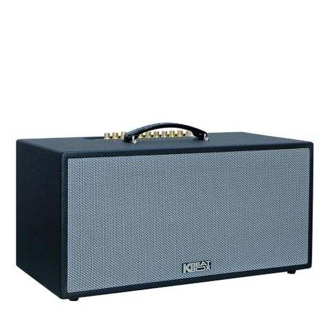 Loa Acnos CS451 Plus, Bass 20cm, Công Suất 250W, DSP, Bluetooth 5.0