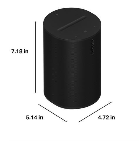 Loa Sonos Era 100