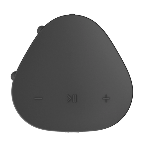 Loa Sonos Roam SL