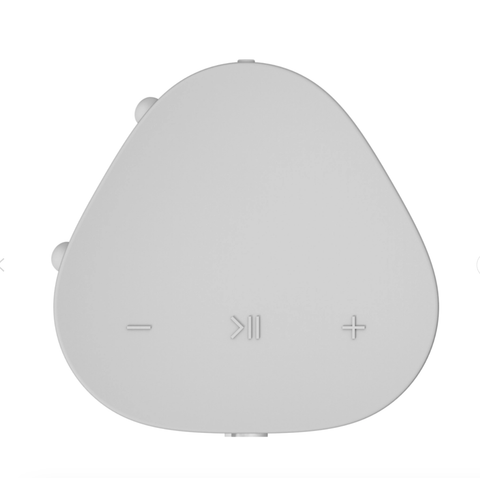 Loa Sonos Roam SL