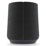 Loa Harman Kardon Citation 300, 100W, Bluetooth, Wifi