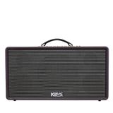 Loa karaoke di động ACNOS FLAC 36, Bass 20cm, Công suất 200W, Bluetooth, Kèm 2 Tay Micro