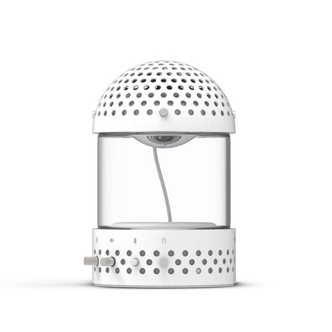 Loa Transparent Light Speaker, Âm Thanh 360 Độ, LED Đổi Màu, Bluetooth 5.0, AUX, True Wireless