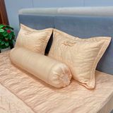 Bộ Drap Couple TSC10