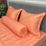 Bộ Drap Couple TSC19